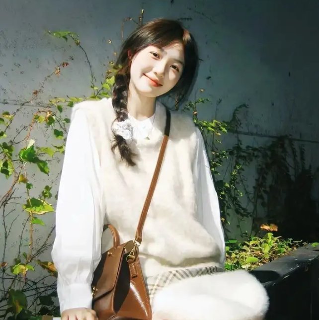 米奇米妮的圣诞星愿